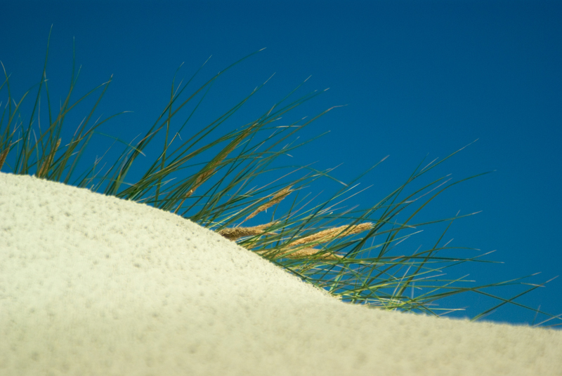 Webinar over diabetesdata